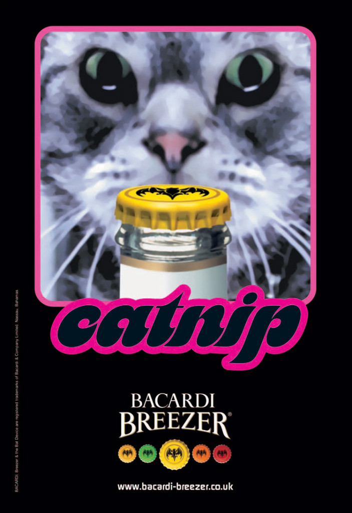Catnip