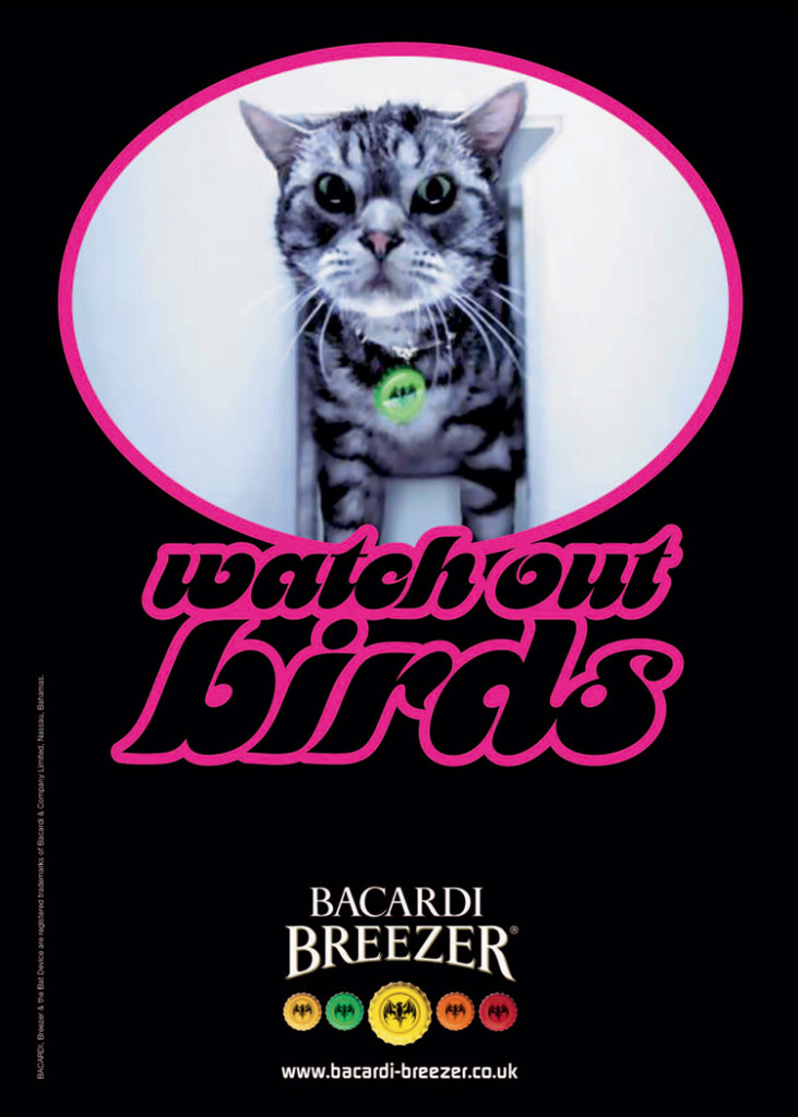 Watch-out-birds